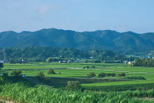 MUJI BASE KAMOGAWA