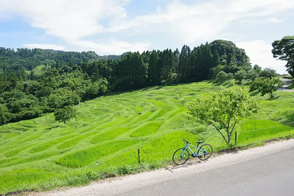 MUJI BASE KAMOGAWA