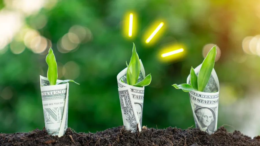 台灣碳權交易所揭牌，何時能交易？有哪些碳權商品？為何選高雄？三大問題一次搞懂