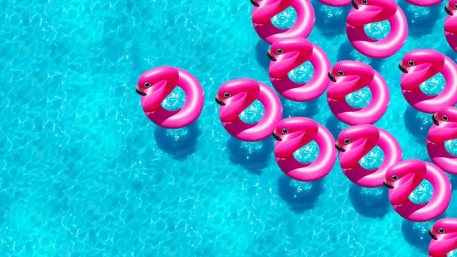 圖解｜在池子存幣換獎勵！什麼是流動性挖礦？專家解密背後的風險與優勢