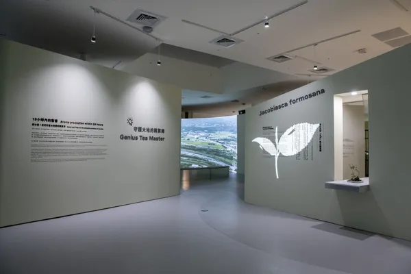 臺灣客家茶文化館「尋客茶路」常設展