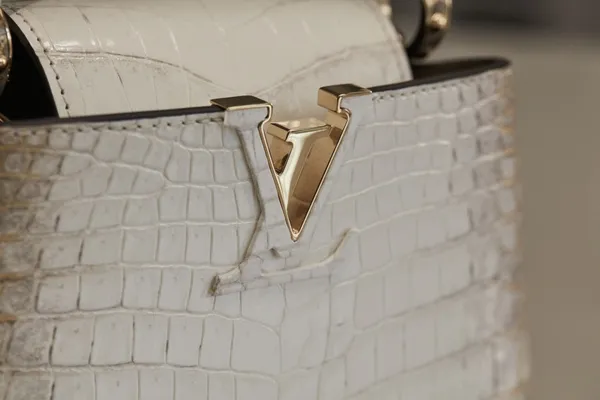 *Focus Capucines BB bag in Sahara Naturel Gold cro