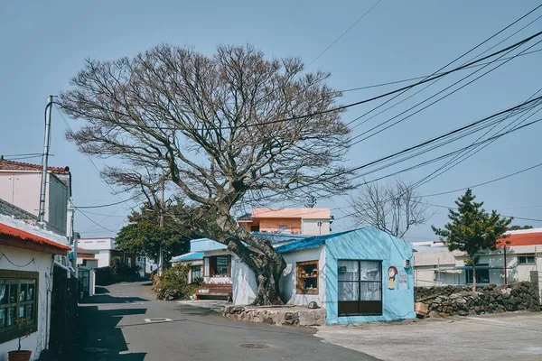 濟州偶來小路