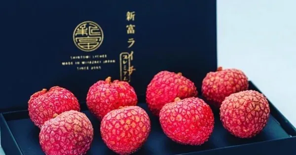 新富荔枝禮盒
