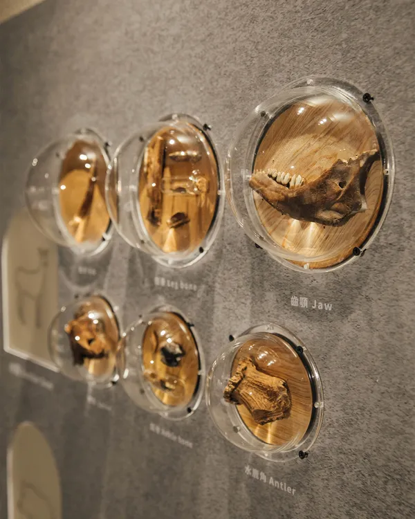 隆田文創園區考古展_4