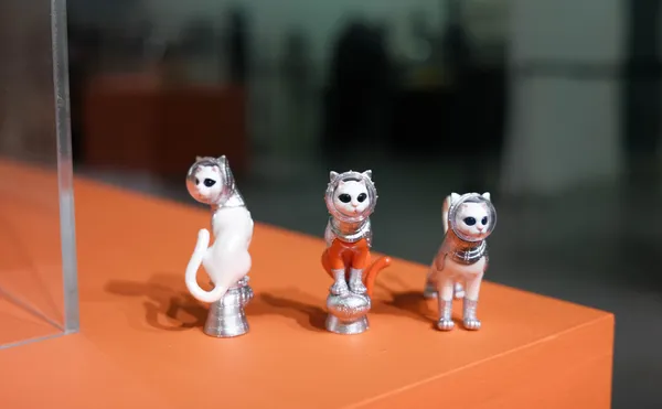 矢延憲司《SHIPʼS CAT in Pingtung 船仔貓屏東展》