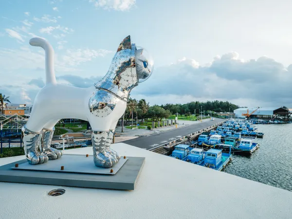 矢延憲司《SHIPʼS CAT in Pingtung 船仔貓屏東展》