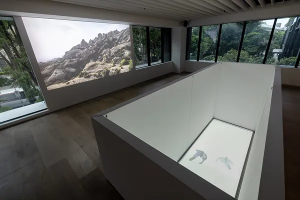 忠泰美術館_未來的生命，未來的你