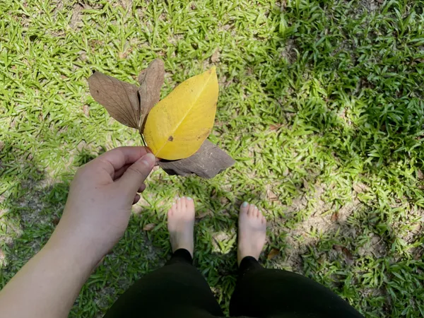 美國沈浸式森林療癒