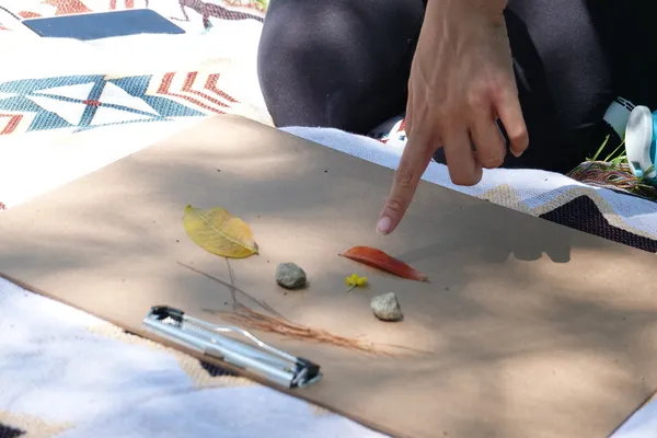 美國沈浸式森林療癒