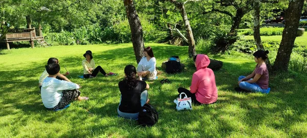 美國沈浸式森林療癒