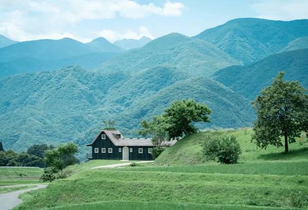 小泊 Fuji