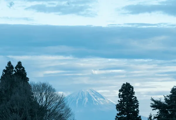 小泊 Fuji
