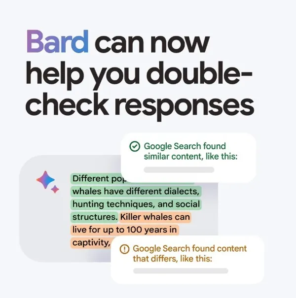 bard double check