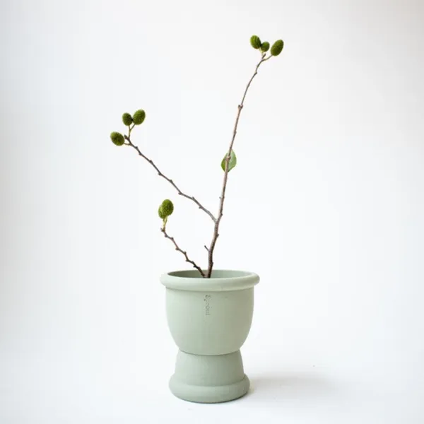 今日的體驗設計 - Sprout 植栽