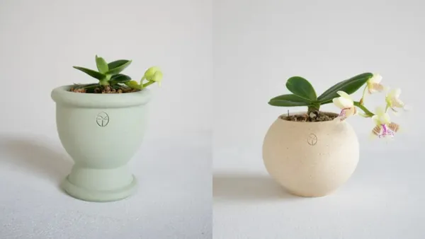今日的體驗設計 - Sprout 植栽