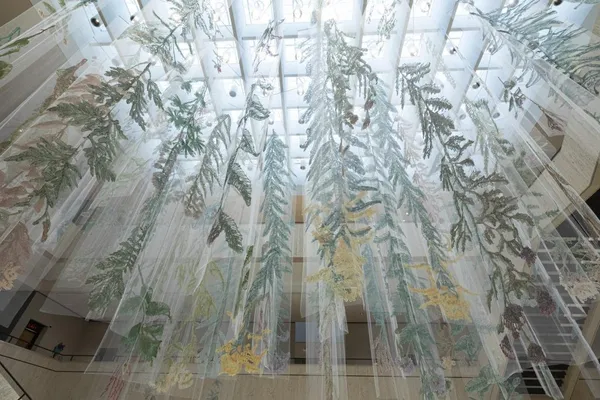 Amanda McCavour