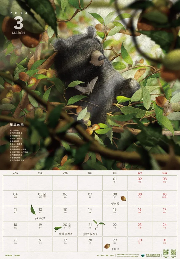 林業保育署2024月曆_3月_築巢的熊