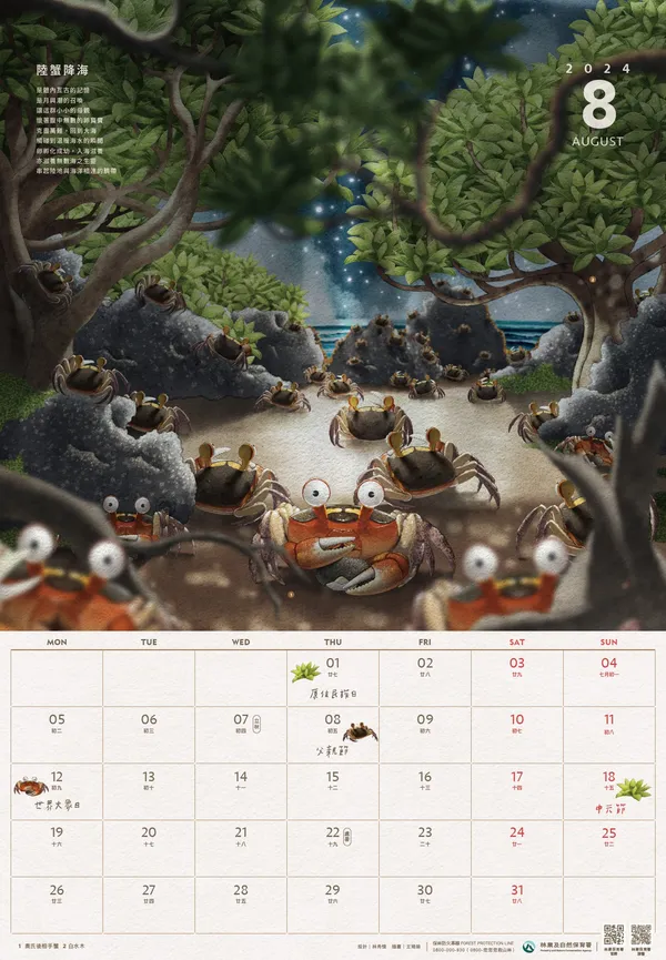 林業保育署2024月曆_8月_陸蟹降海