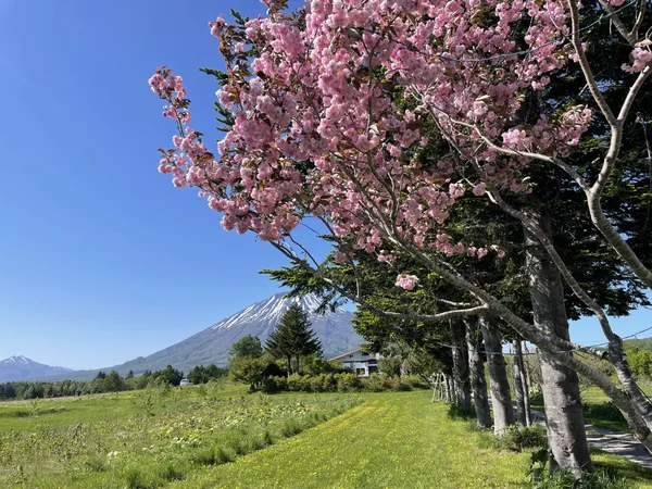 北海道旅宿  Rusutsu Holiday