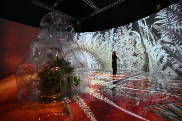 3_「串流群落：溫室中的溫室」展覽現場，國立臺灣美術館提供，攝影：ANPIS FOTO 王世邦.jp