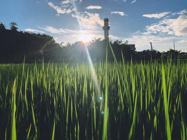 2023 植覺
