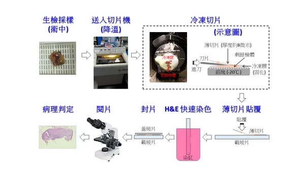 吉光智慧科技_傳統冷凍切片示意圖.png
