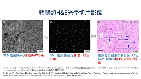 吉光智慧科技_類H_E影像轉換示意圖