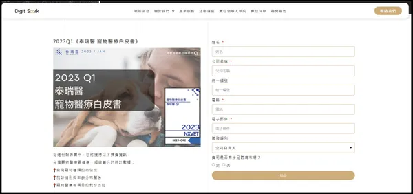 白皮書畫面