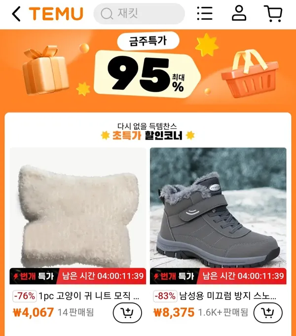 Temu Price