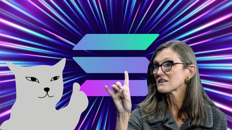 Solana幣價飆新高！竄起關鍵有哪些？木頭姐大讚：比以太坊更快、更具成本效益