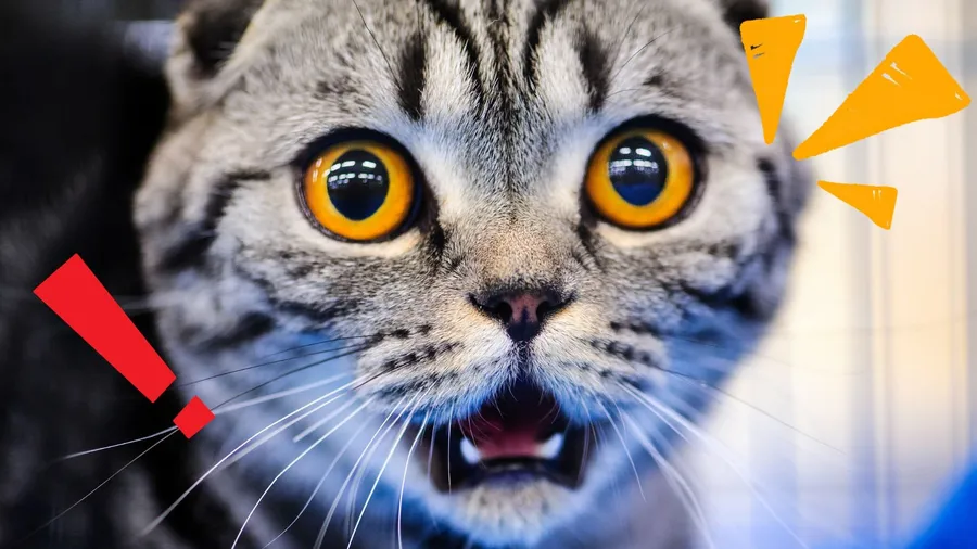 通過洗防加密業者少兩家！為何都來自幣託集團旗下？業者親自解釋原因