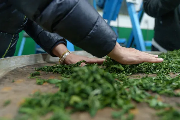 甘樂茶事