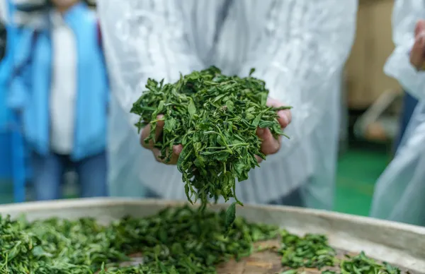 甘樂茶事