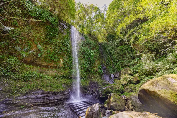 新北微笑山線2