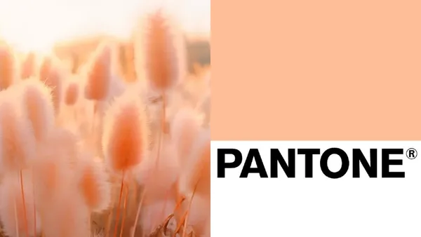 Pantone 2024 年度代表色公布！「柔和桃 Peach Fuzz」介於粉紅與橙色間，充滿溫柔真誠氣息