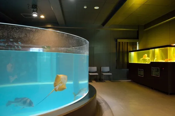 日本室戶廢校水族館