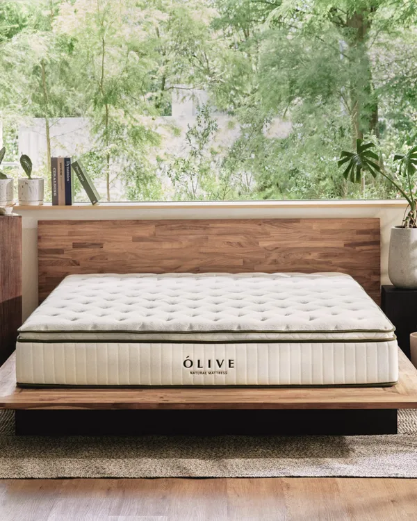 ÓLIVE 自然睡眠計劃11.jpg