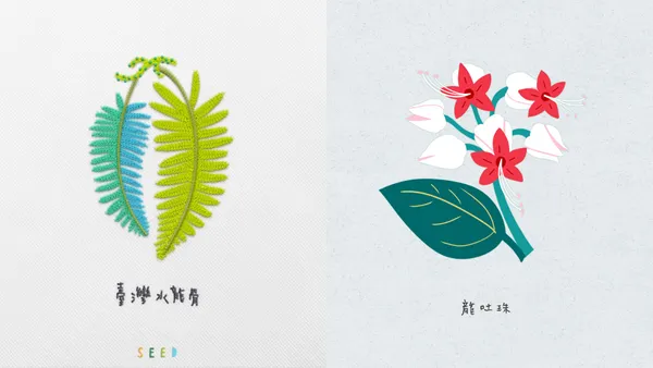 種籽設計推出龍年「植物刺繡別針」！20 種「以龍取名」的植物，一針一線編織根葉脈絡