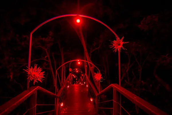 2023龍崎光節空山祭