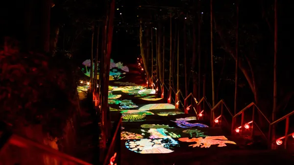 2023龍崎光節空山祭