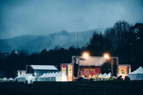 2024 霓虹綠洲音樂祭