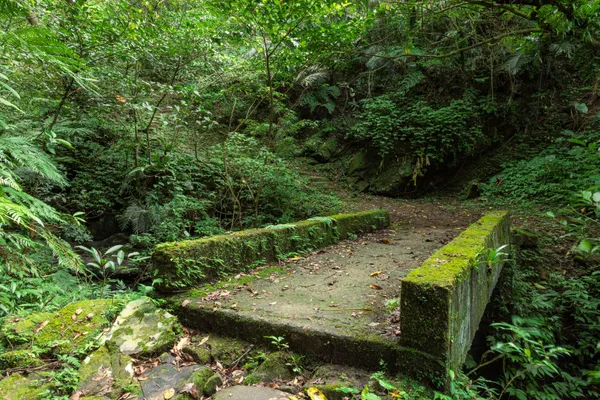 微笑山線