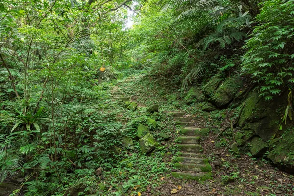 微笑山線