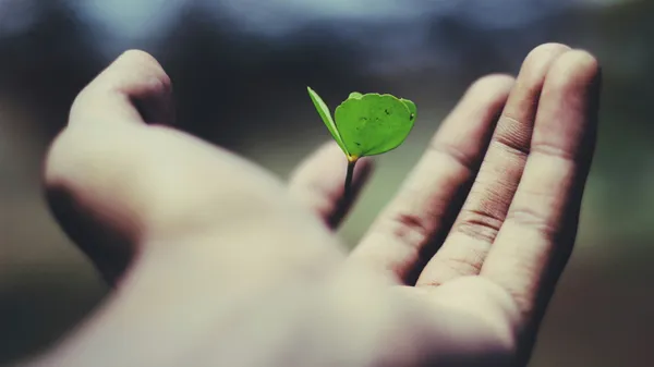 圖片來源：Unsplash 創用CC  (1).jpg