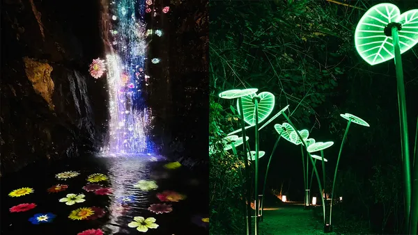 彷彿置身魔法森林！屏東「奇幻大津」展出落幕，結合瀑布地景創造難忘的光影沈浸體驗