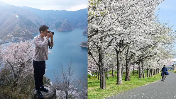 2024 SKM PHOTO攝影藝術博覽會 3 月登場！搶先探索攝影師小林賢伍「櫻花」新作，14 場活動一次盤點