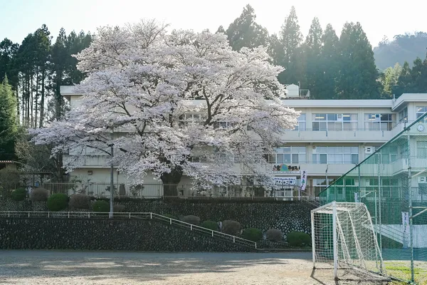 SKM PHOTO 攝影藝術博覽會_04