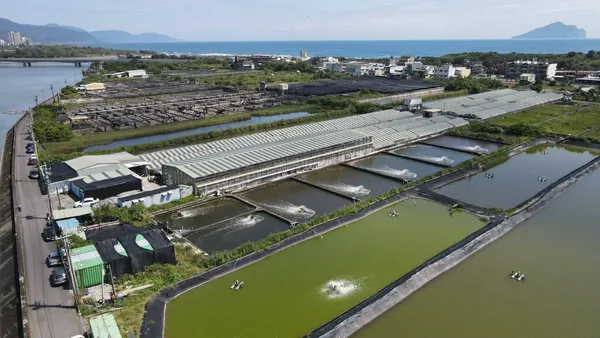 雲豹能源漁電共生