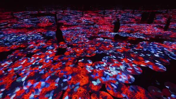 直擊東京麻布台之丘「teamLab 無界」